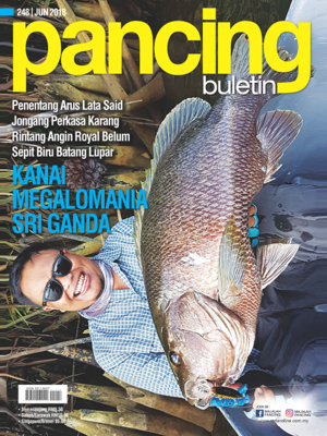 cover image of Pancing